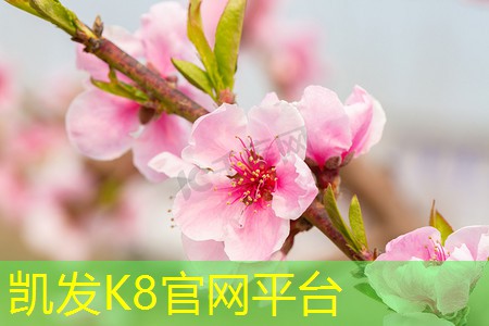 凯发K8官网登录手机版 i9级处理器是什么意思