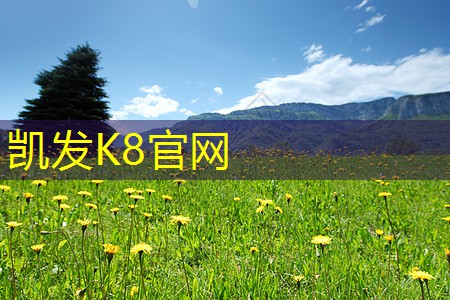 凯发k8国际登录厅 内存条坏了电脑会出现什么状况