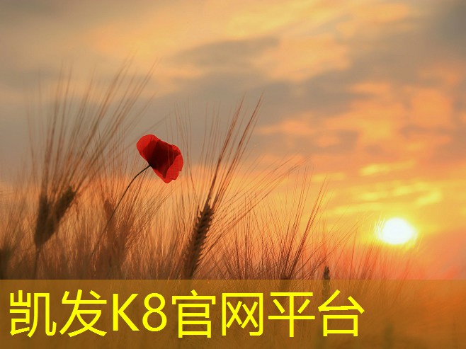 凯发K8官网登录手机版 处理器天梯图手机