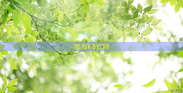 处理器性能排行榜手机2024天梯图中关村